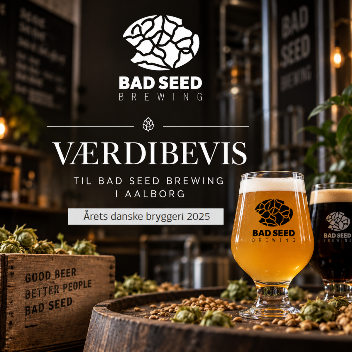 Værdibevis til Bad Seed Breewing, Aalborg